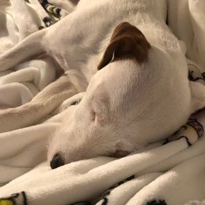 Meet your Posher, Nancy